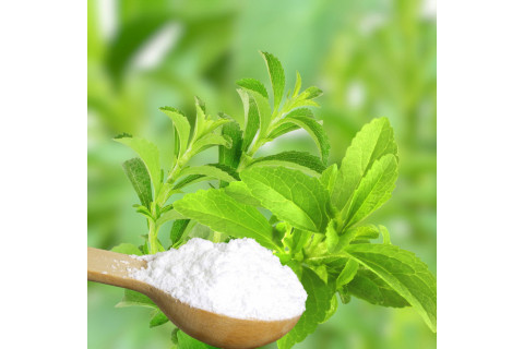 Stevia story: Najpoznatiji i najpriznatiji zasladjivac