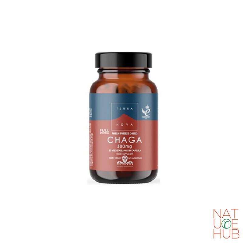 Čaga 500mg, Terranova 50 cps 