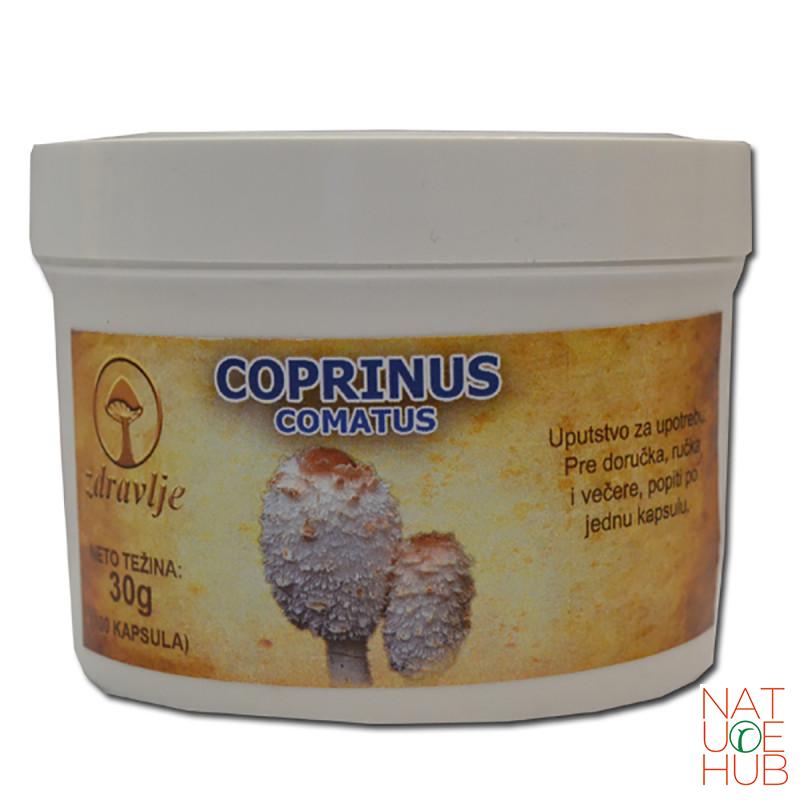 Coprinus comatus gljiva EP, 100cps 